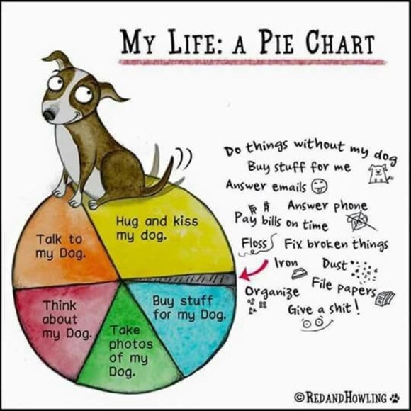 Meet your Posher, Mimi - Picture 6 of 8